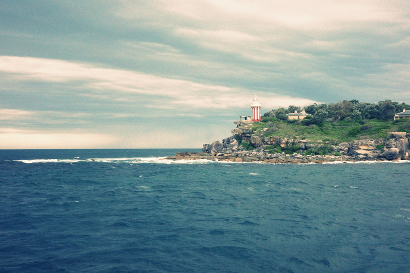 Set Sail for a Whale Watching Adventure